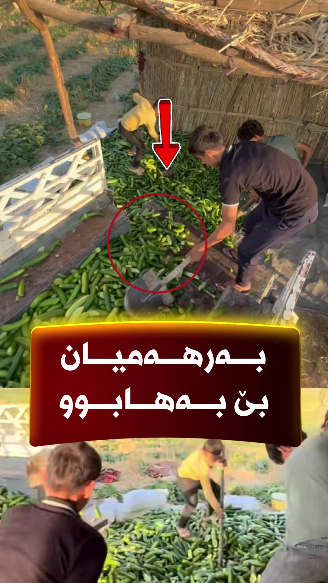 @🎤📺 𓆩جیگر هەركی𓆪 Journalist