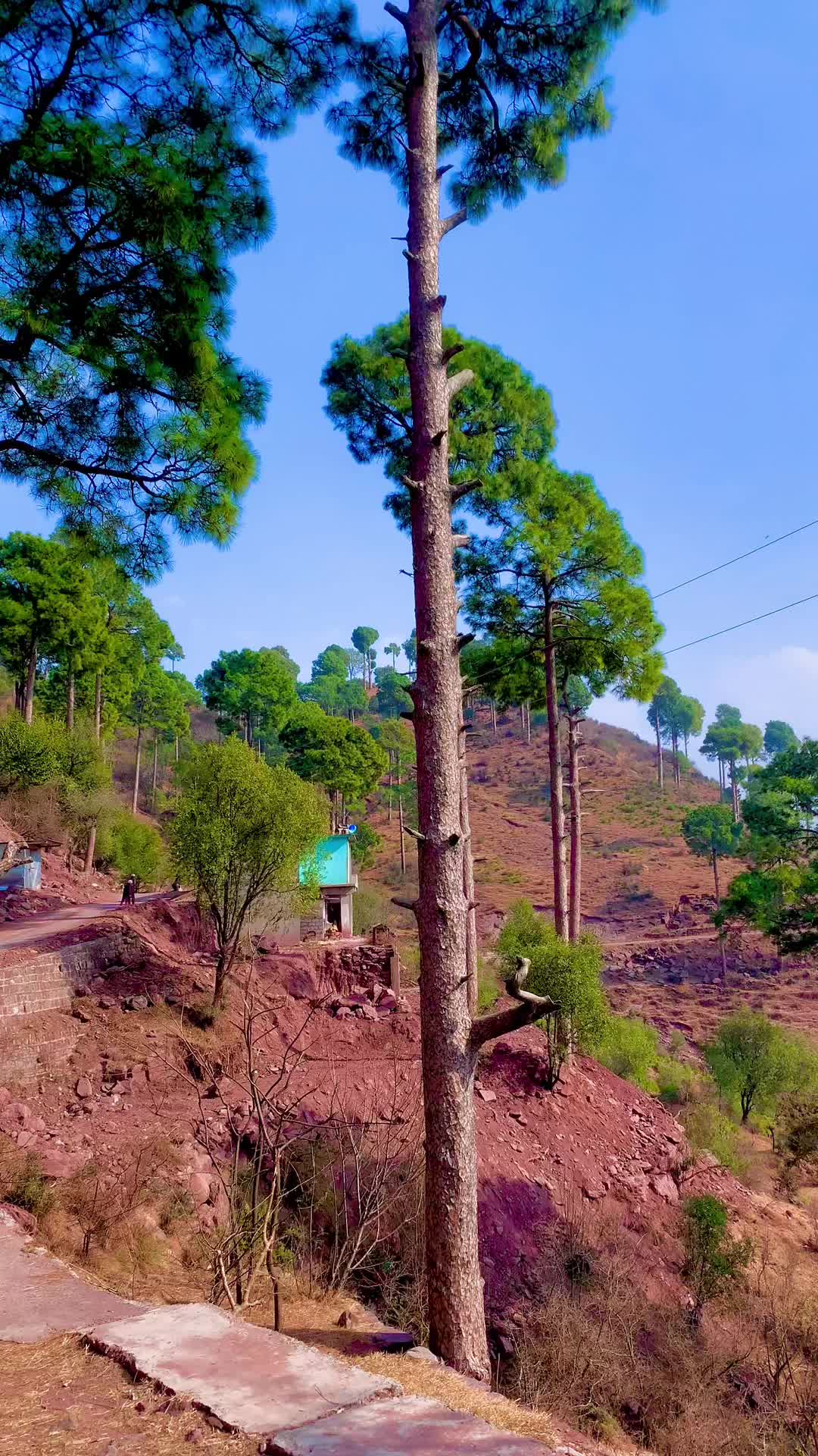 @کشمیری لوگ🏔️🦋