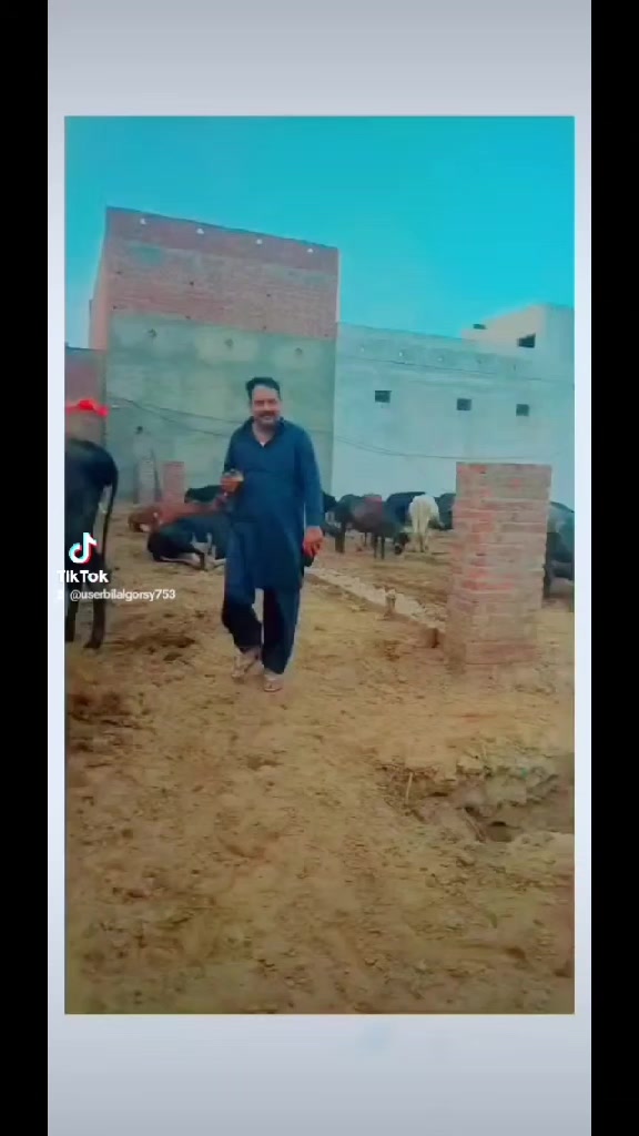 @bilal gorsi75379