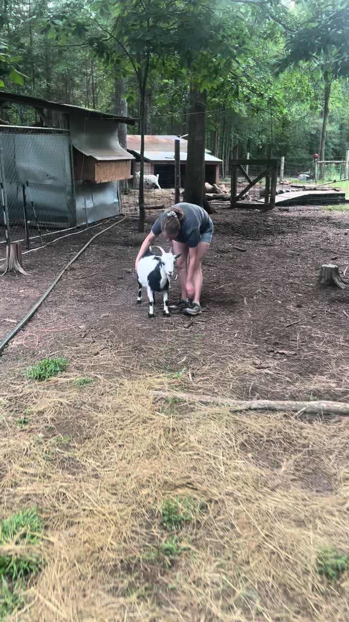 @Gray Acres Homestead
