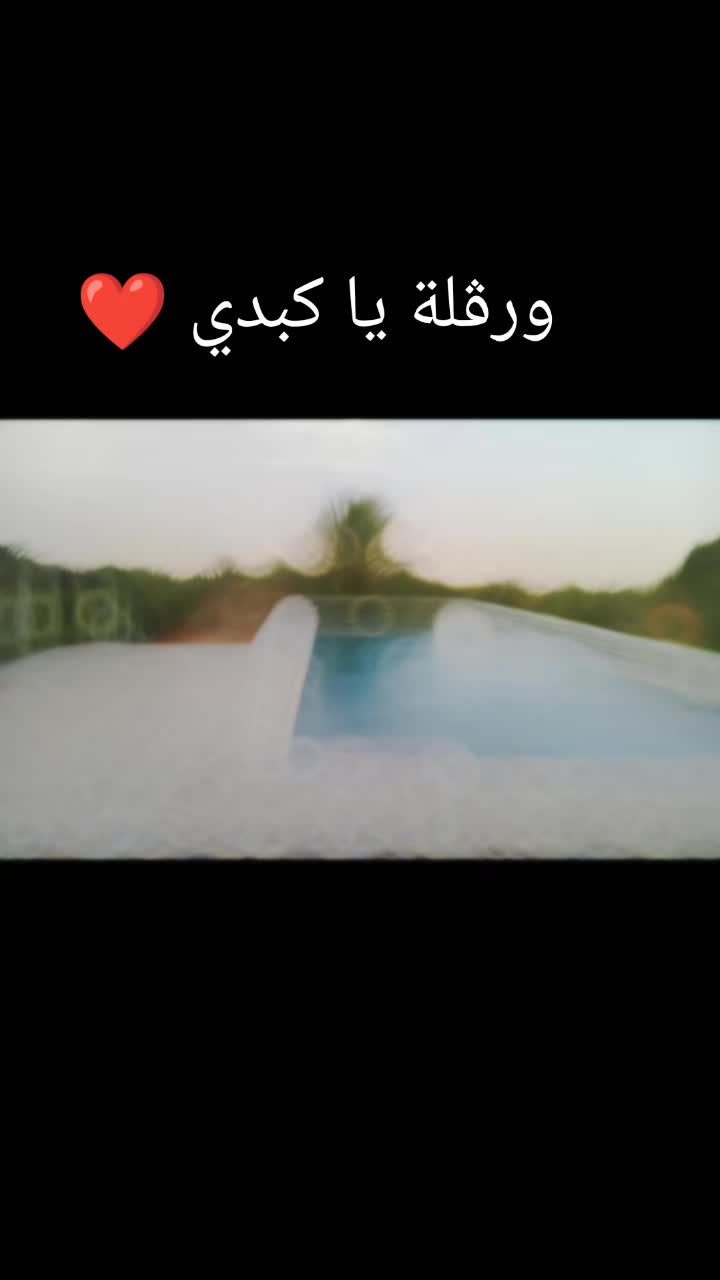 @Dadda mouldi