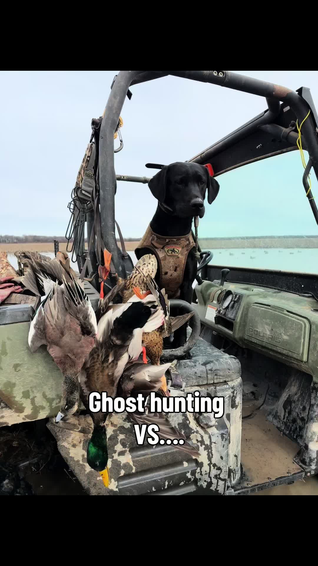 @ghostblacklab