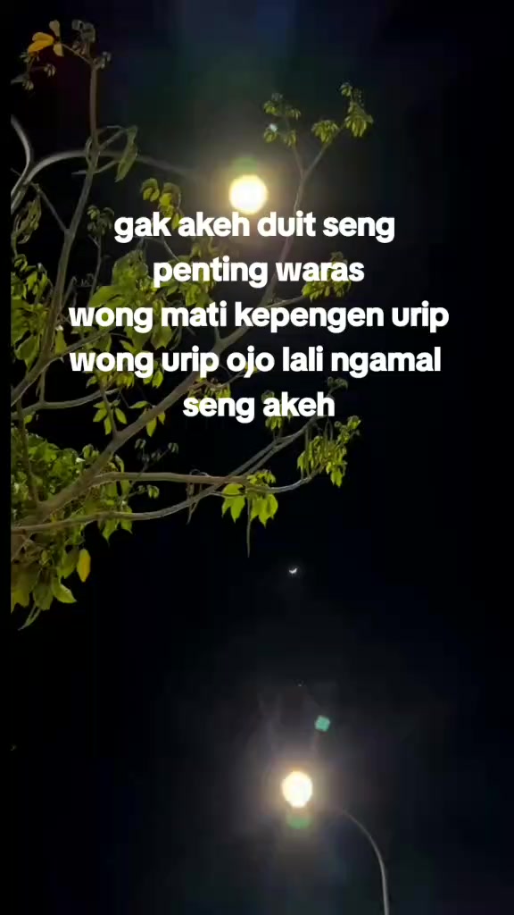 @Bagus Stybary ๐งญ