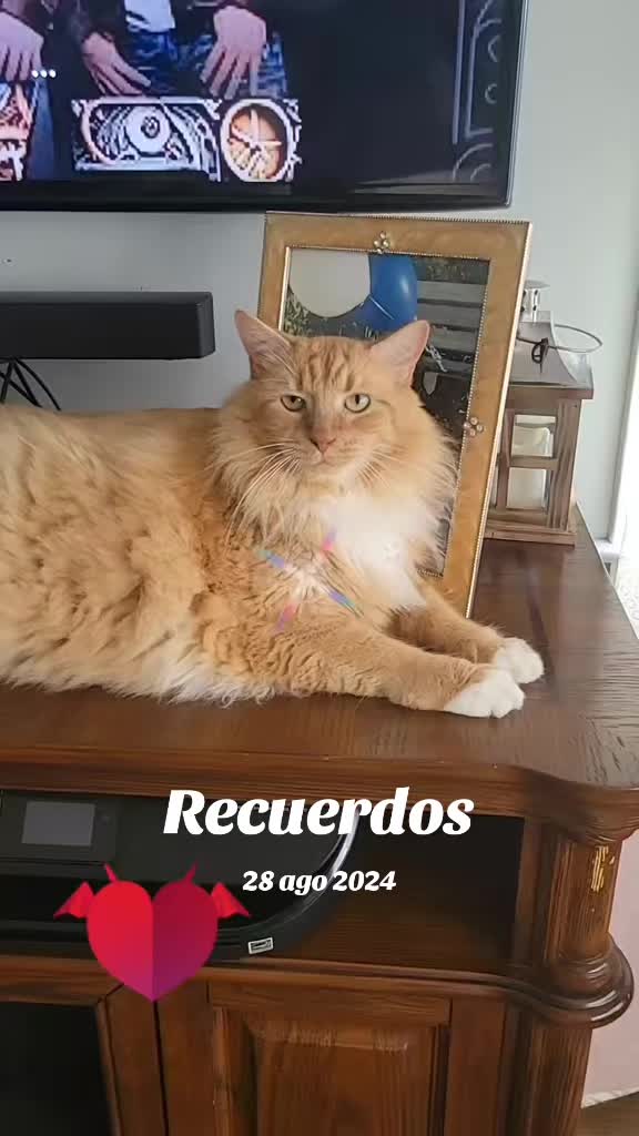 @Flor castro y charlie 🥰