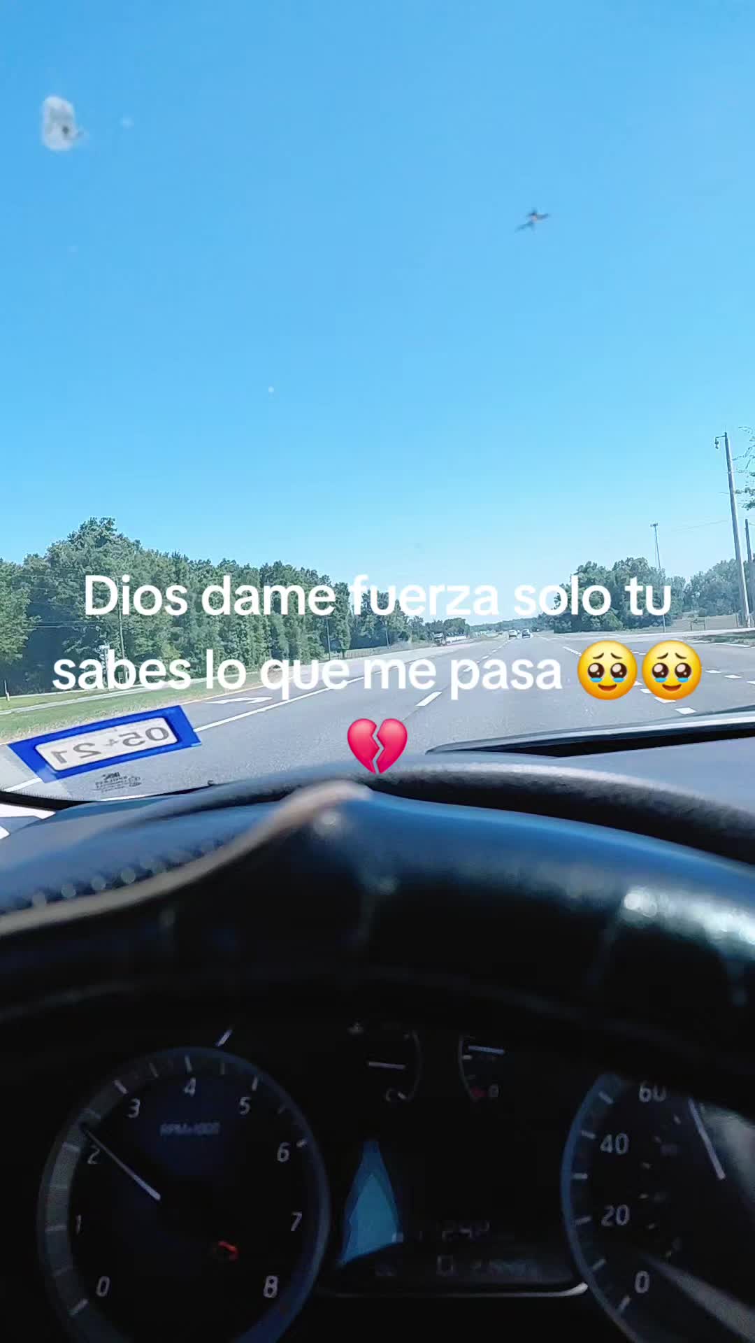 @flory502🇬🇹🇺🇸