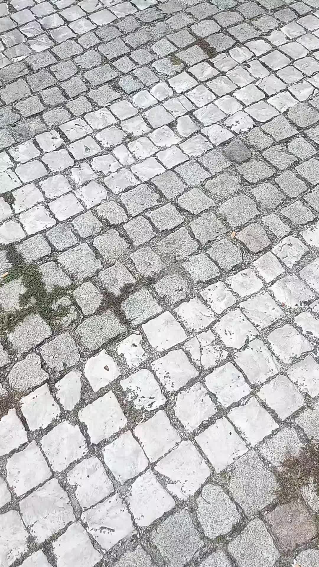@sp15bjj