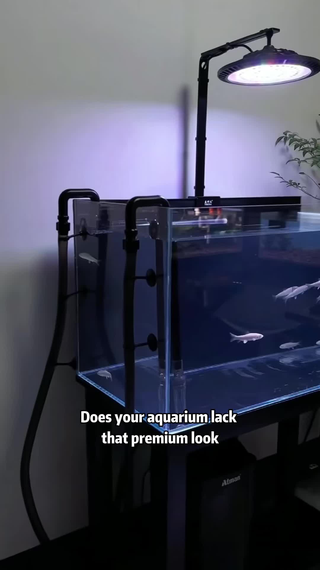 @AquaBunny