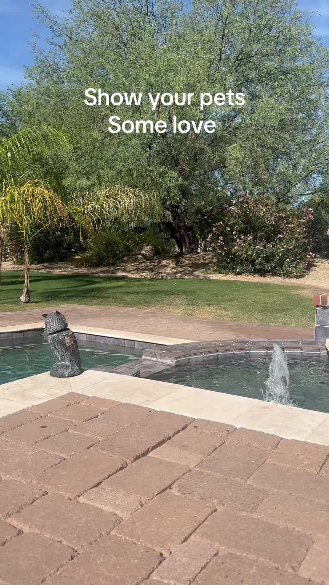 @cstull13