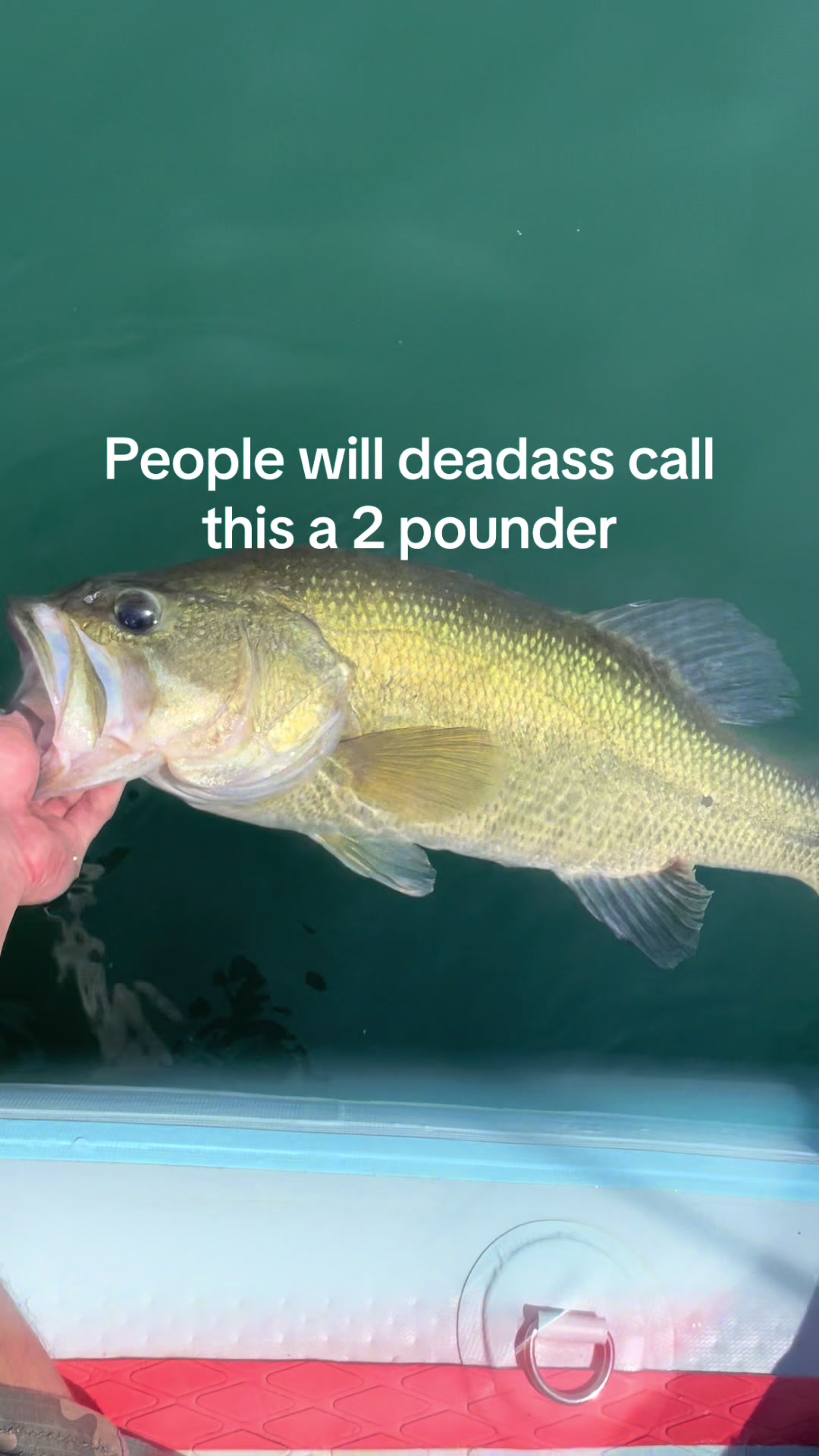 @sams.fishing_