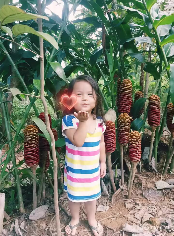 @rosesapphire888