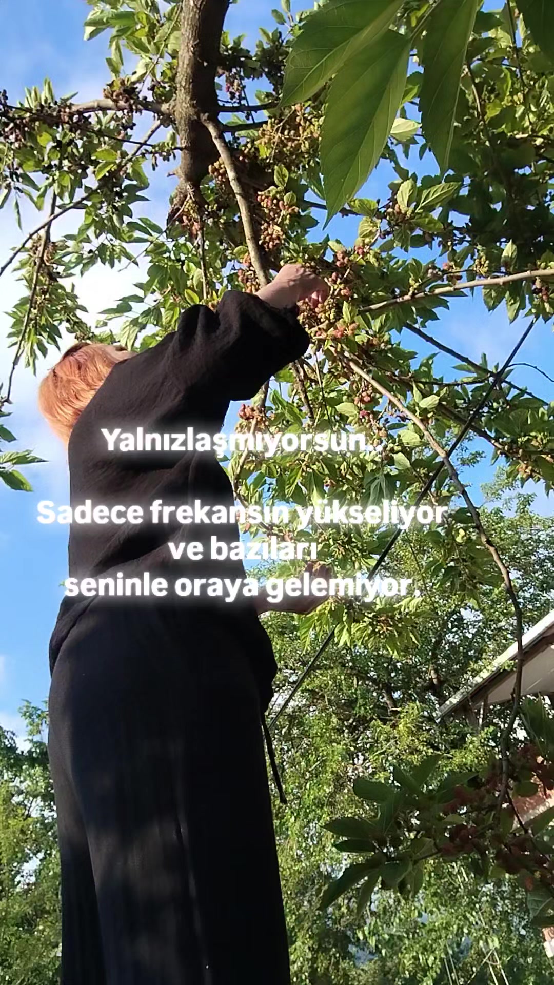 @elifgungor. bb