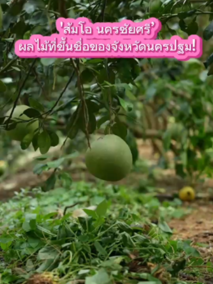 @ประชาสัมพันธ์จังหวัดนครปฐม