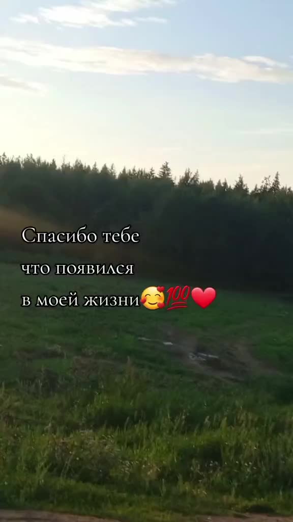 @Svetik