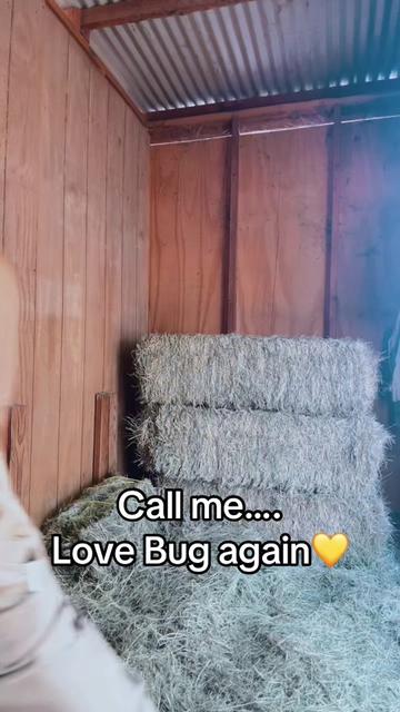 @Haylittlemama❌