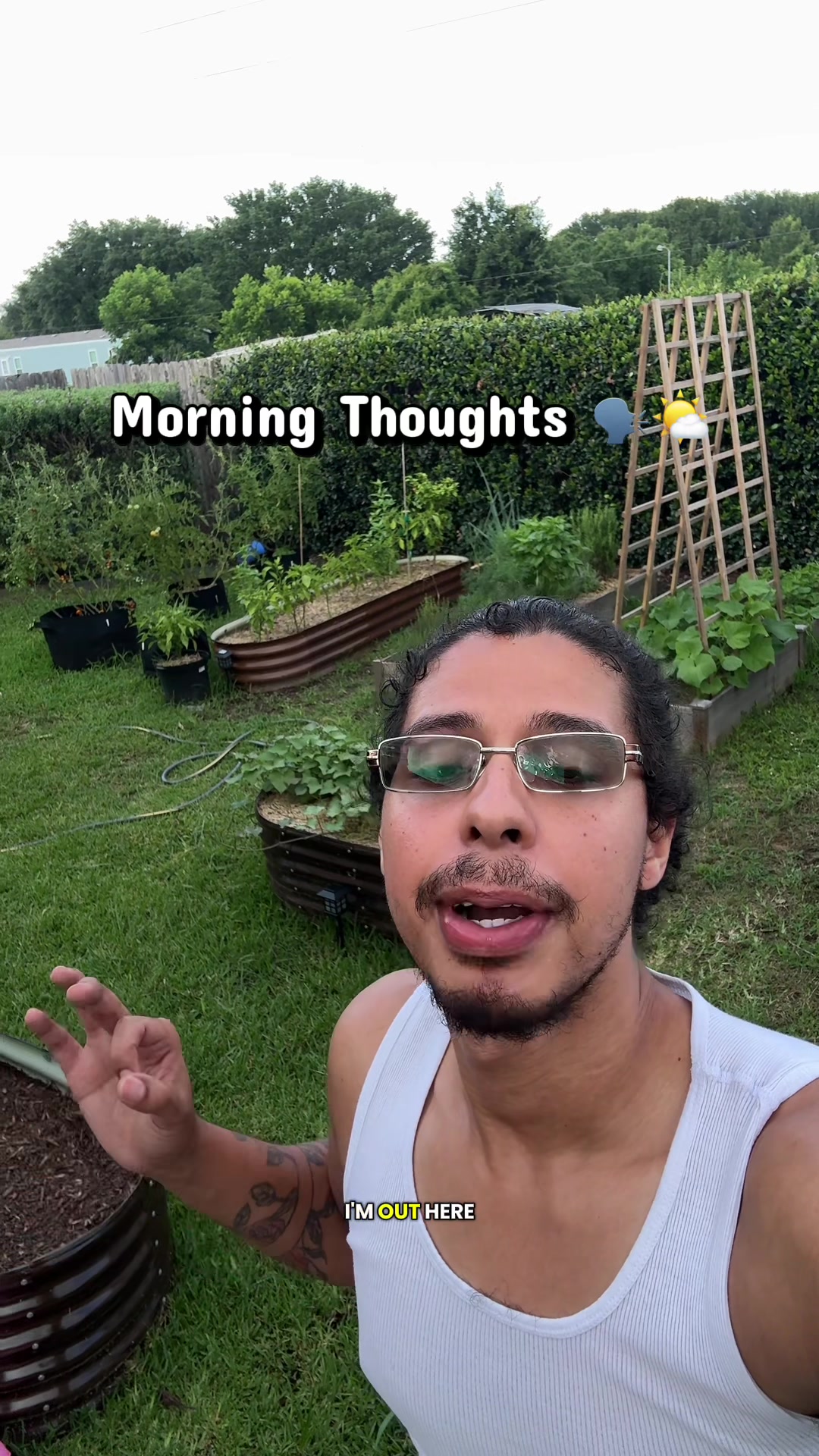 @whaleyswellness