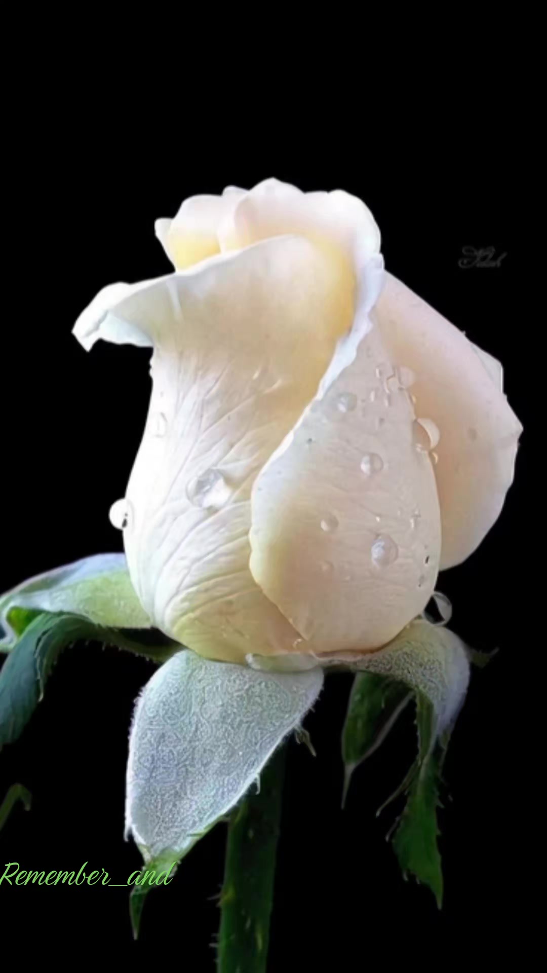 @Remember _ and