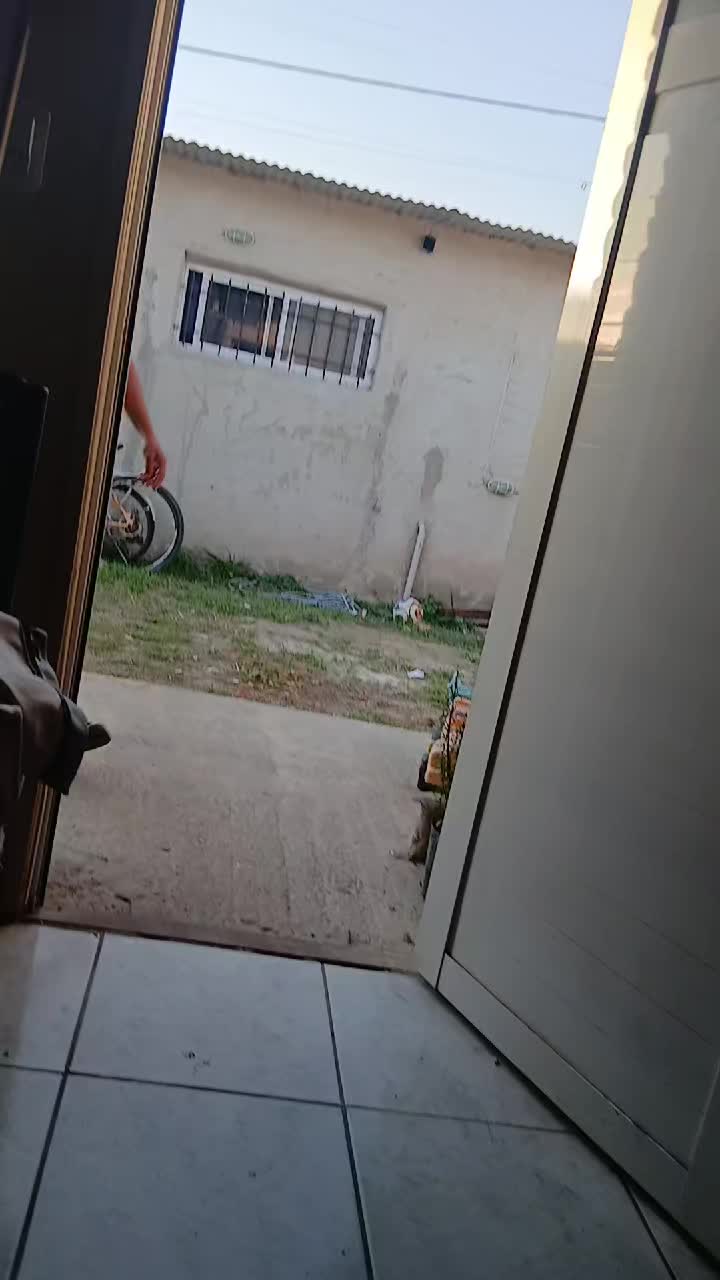 @Belu Enrique