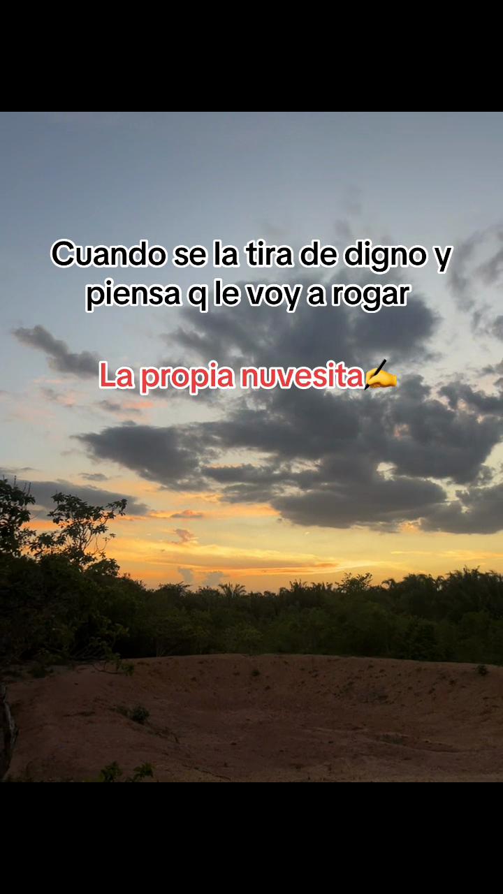 @🎀 Pao🎀