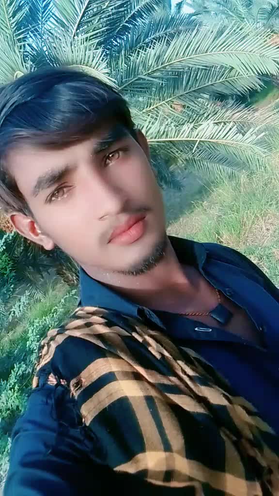 @Waheed ali sheikh 533
