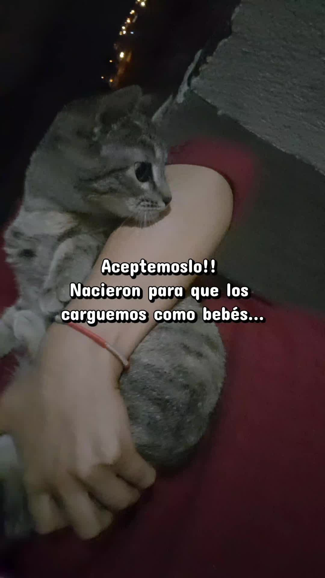 @&bull;Estefania&bull;