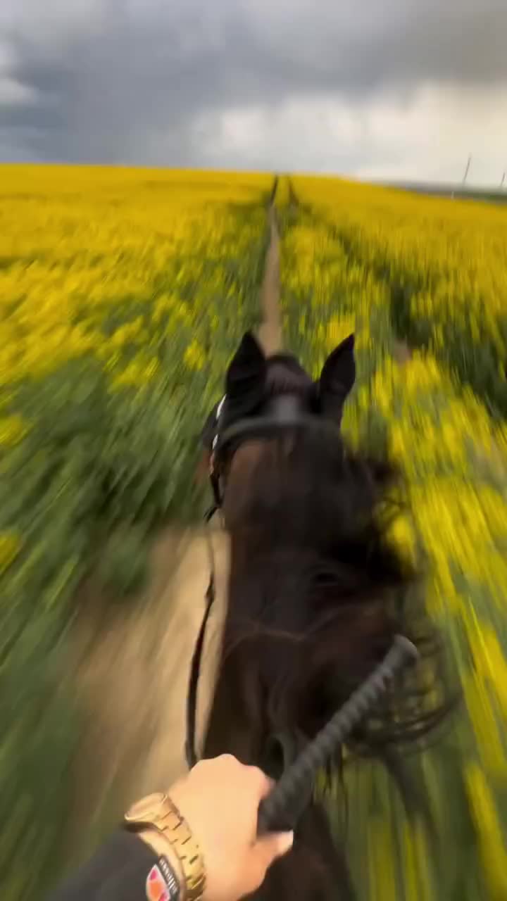 @ThunderGallops