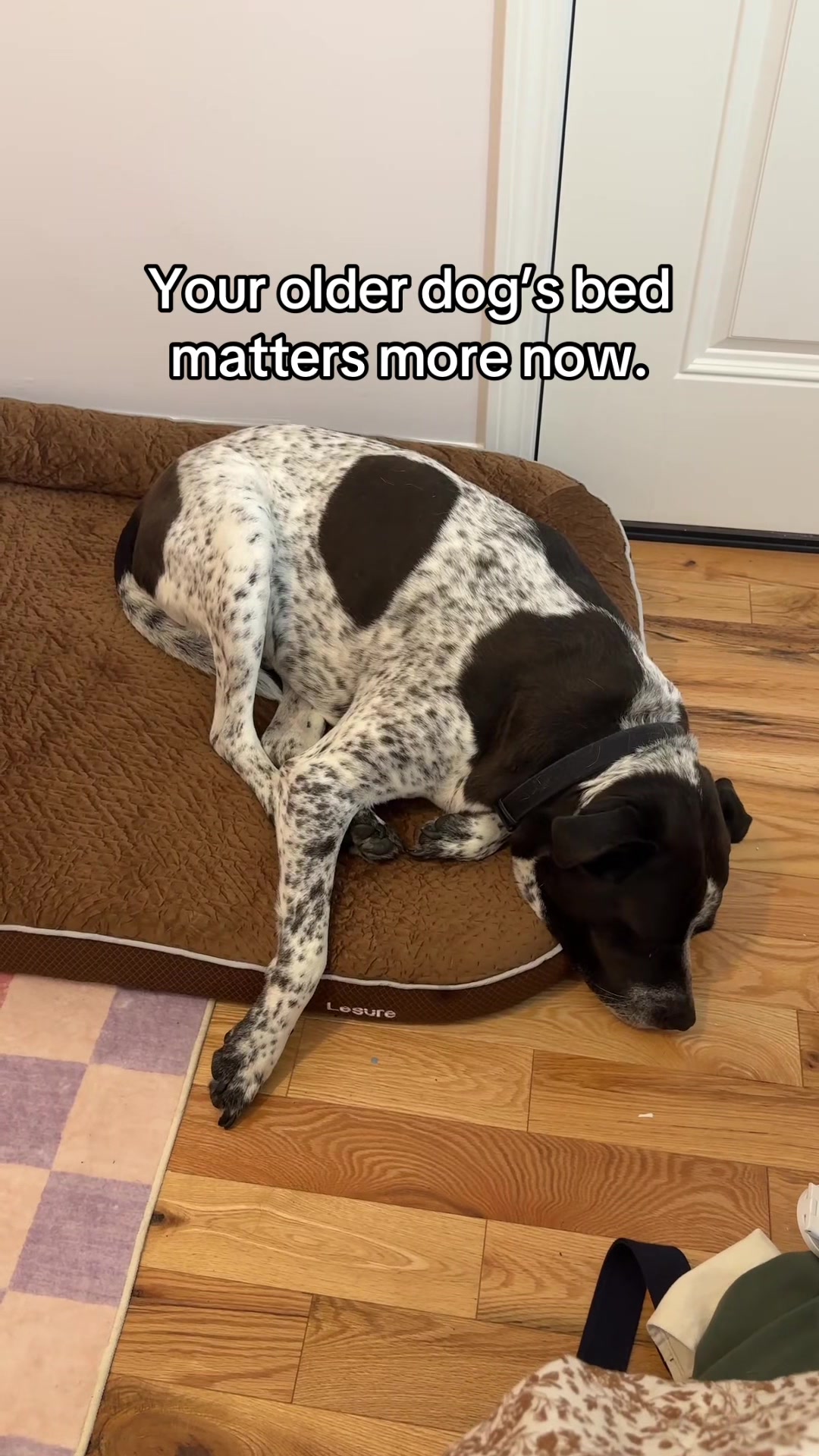 @Chelsea | Dog & Toddler Mom