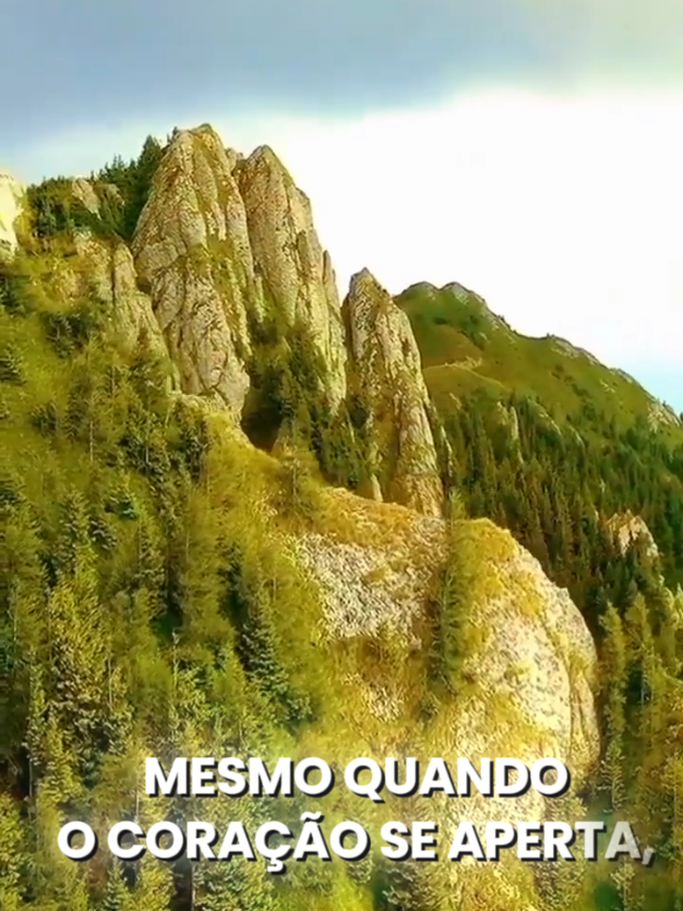 @motiva&ccedil;&atilde;o e reflex&atilde;o,louvor