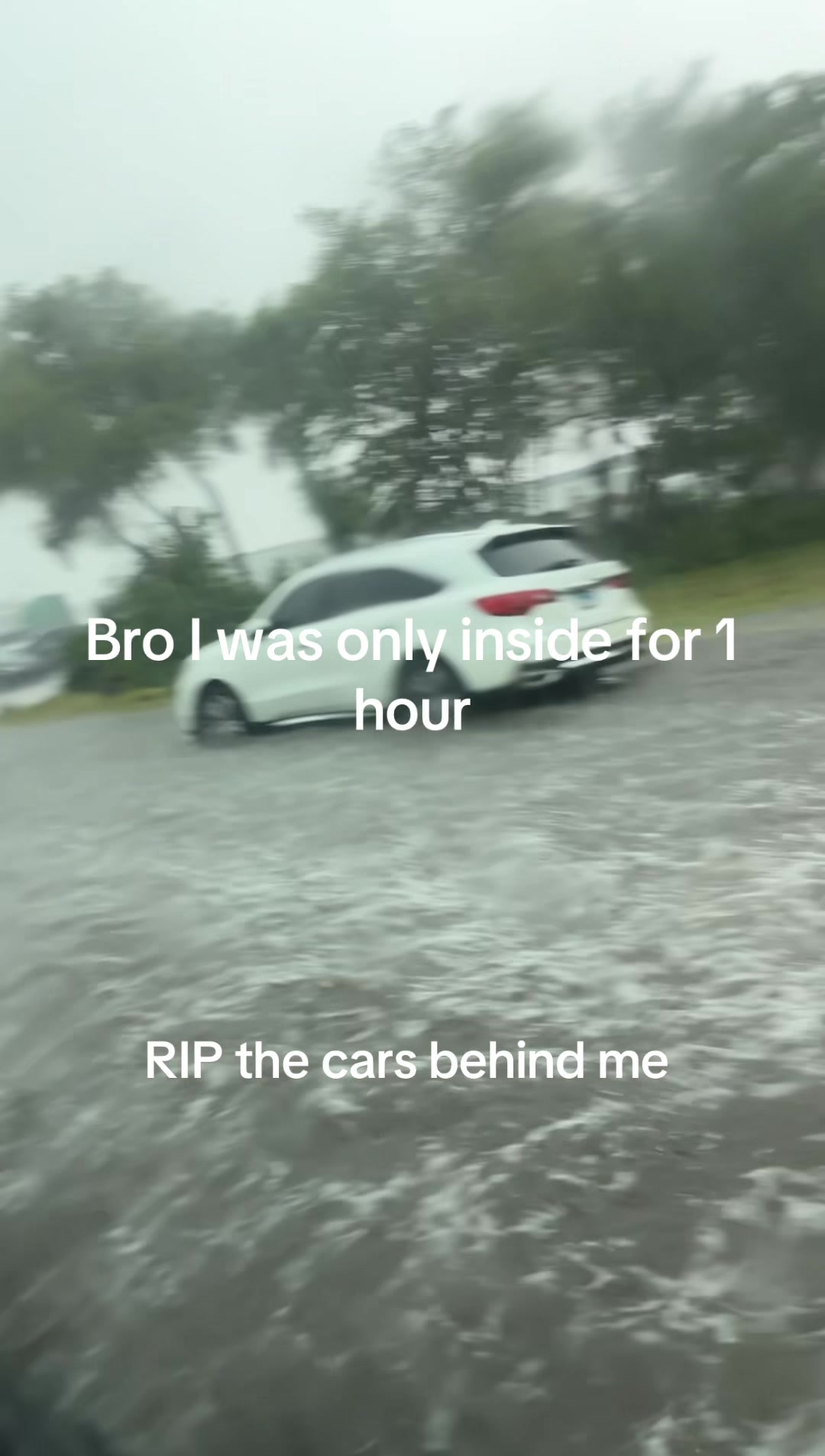 @Brian 🦇