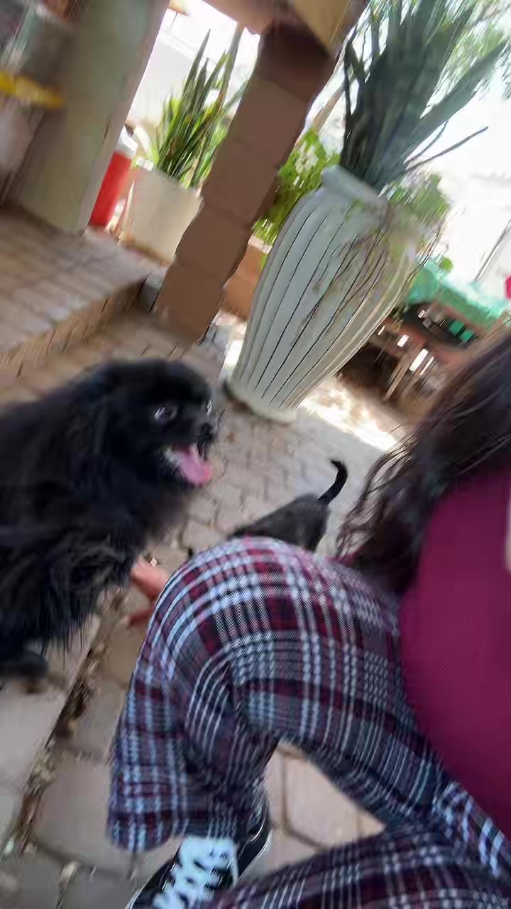 @SaraiSavvy’s