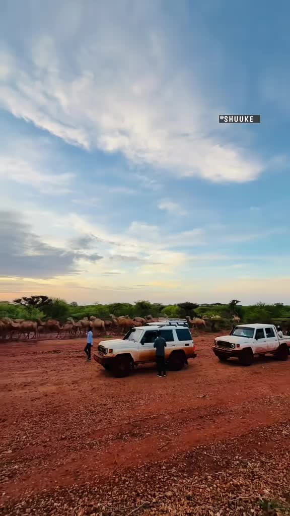 @[GUDOOMIYE]🇸🇴🩷💯