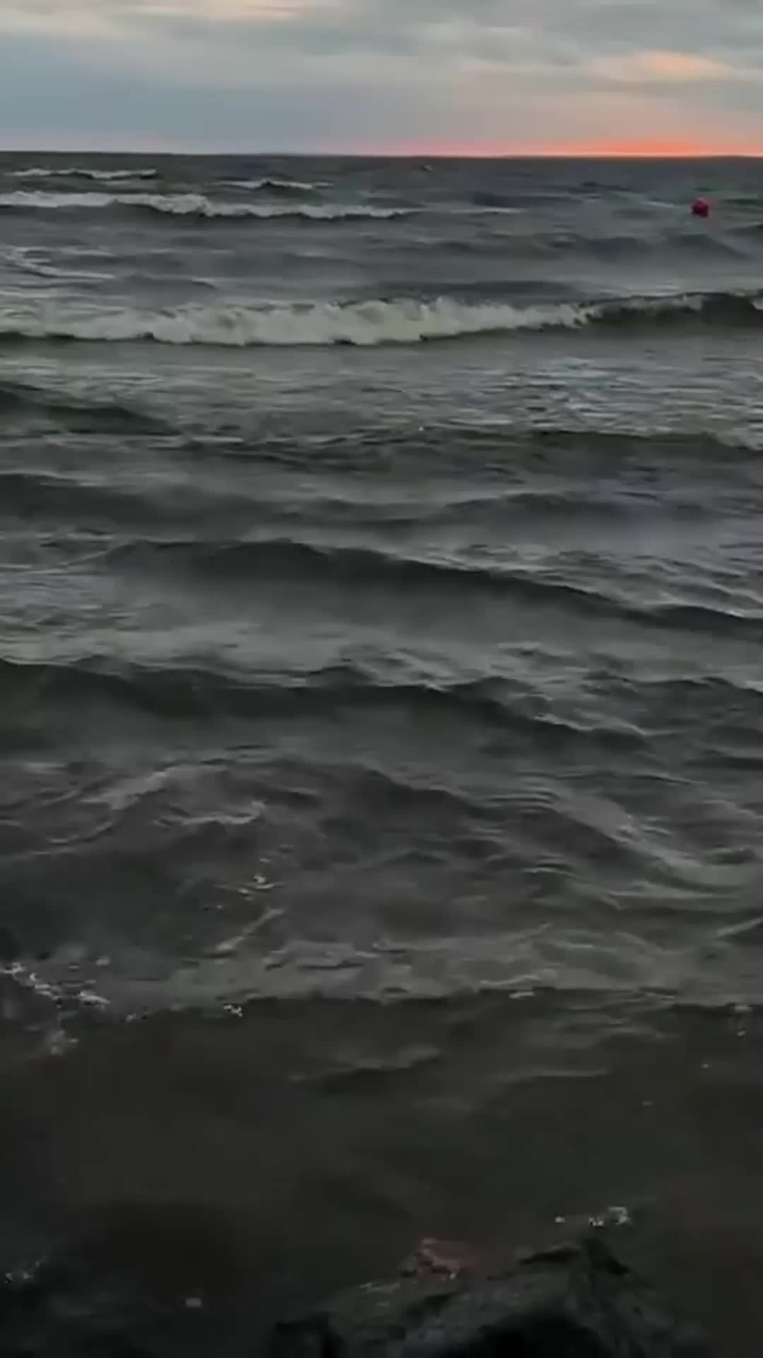 @saiiyansamlive11282040