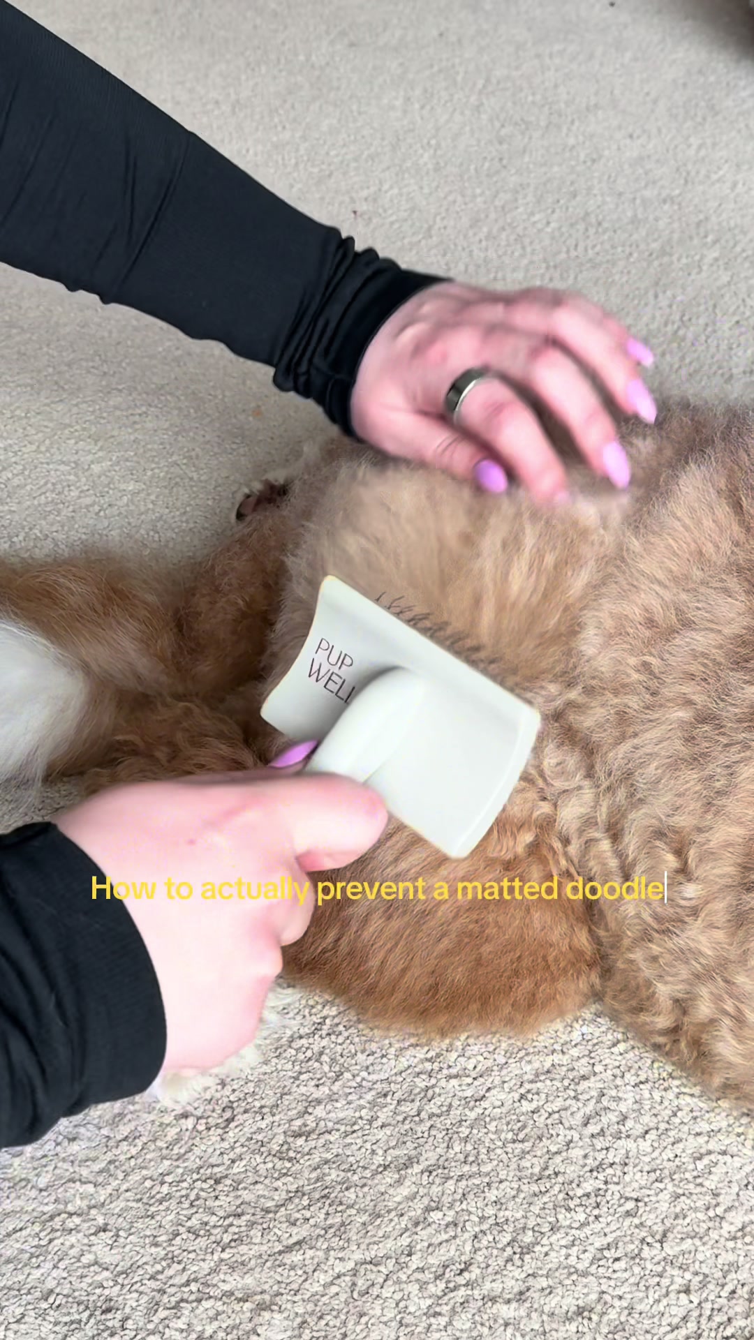 @Pupwell