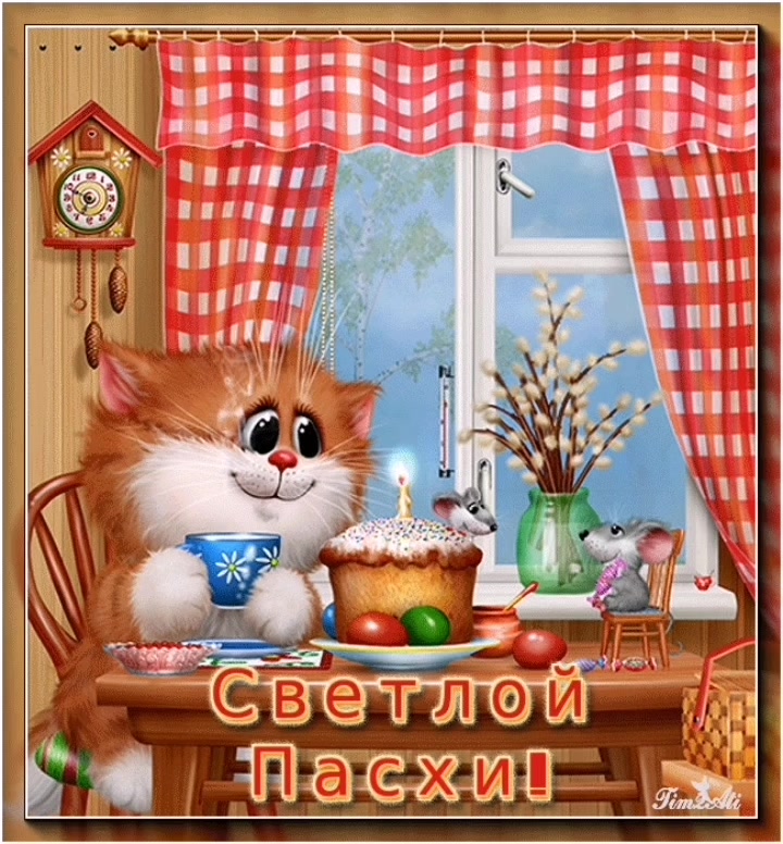 @виви комахиновна