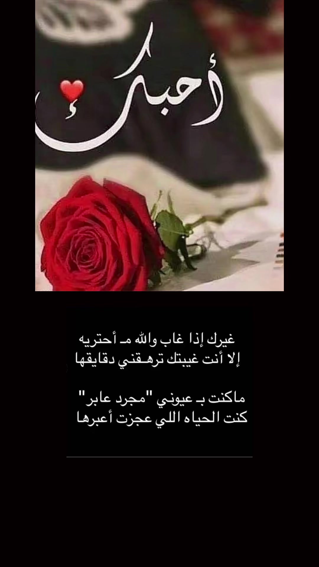 @💕شيهانة الجنوب💕