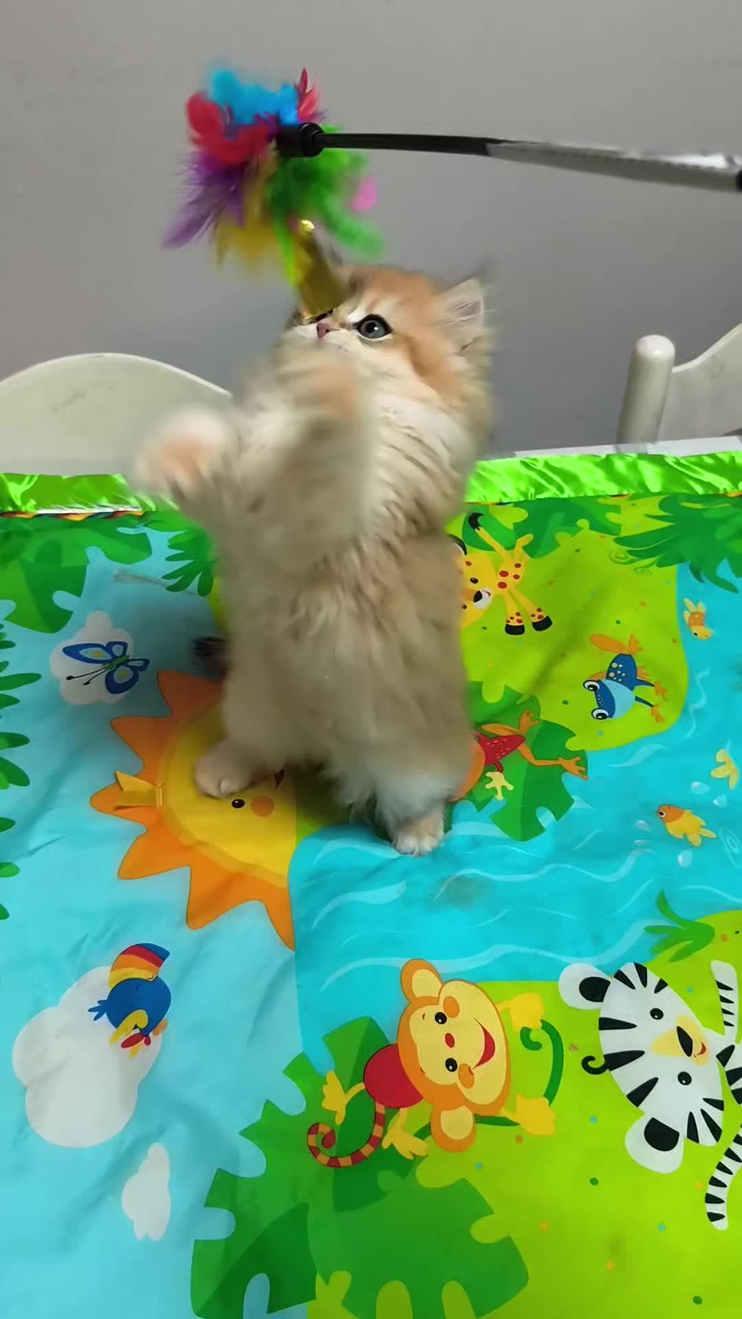 @аристократ