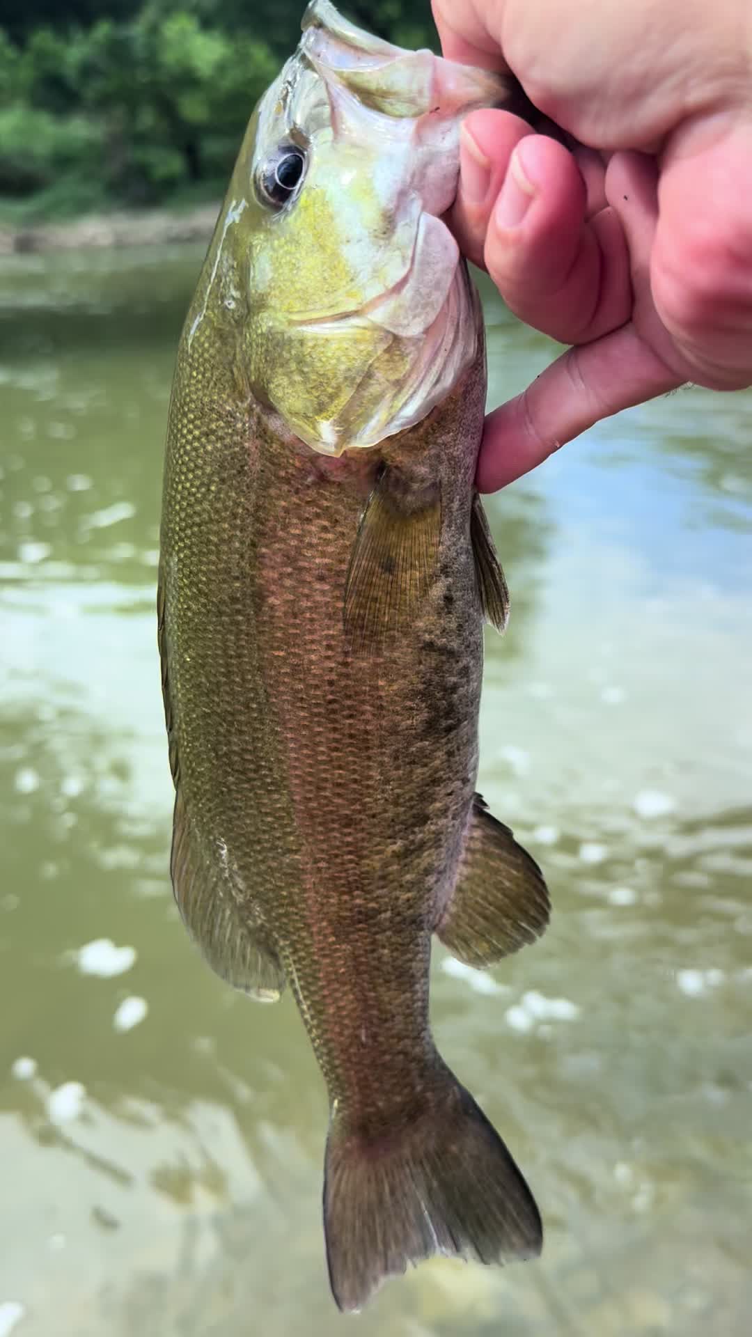 @Kentucky Fishing