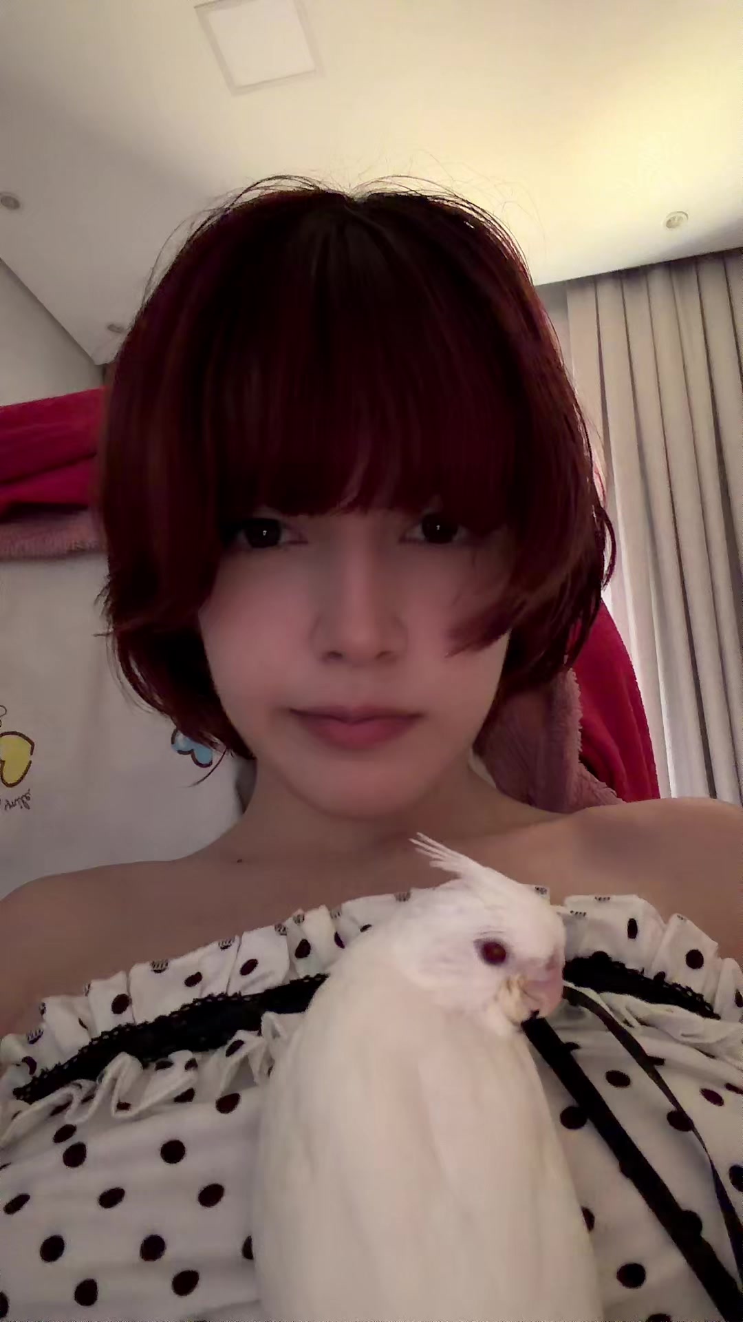 @Lully Chan