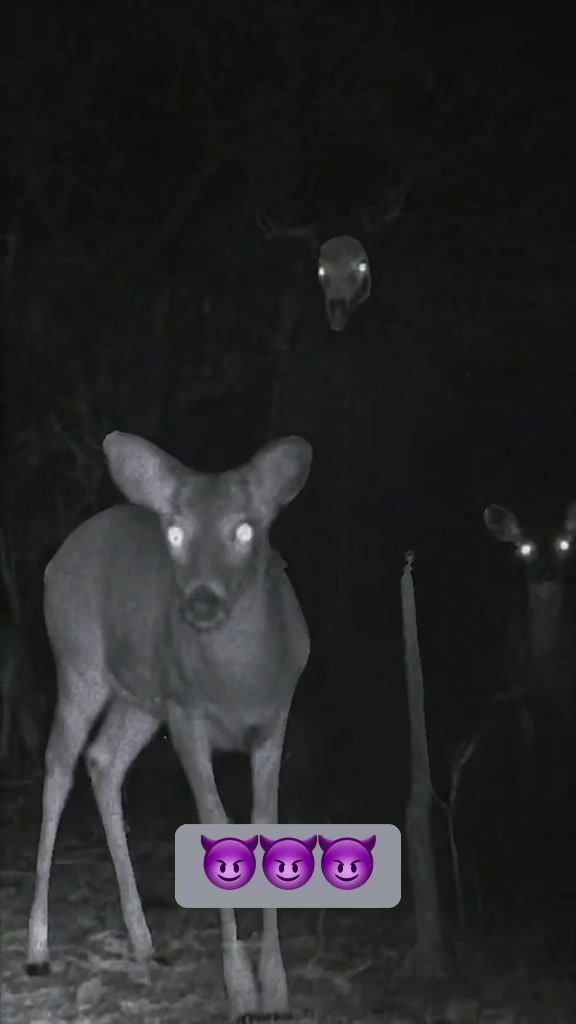 @SCARYVIDEOS