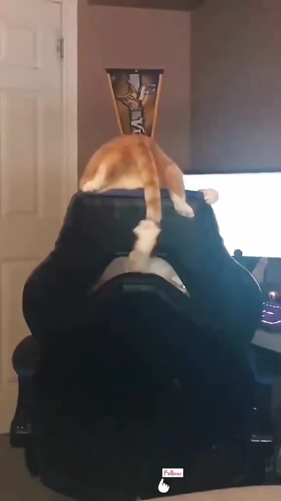 @Vova_Prime
