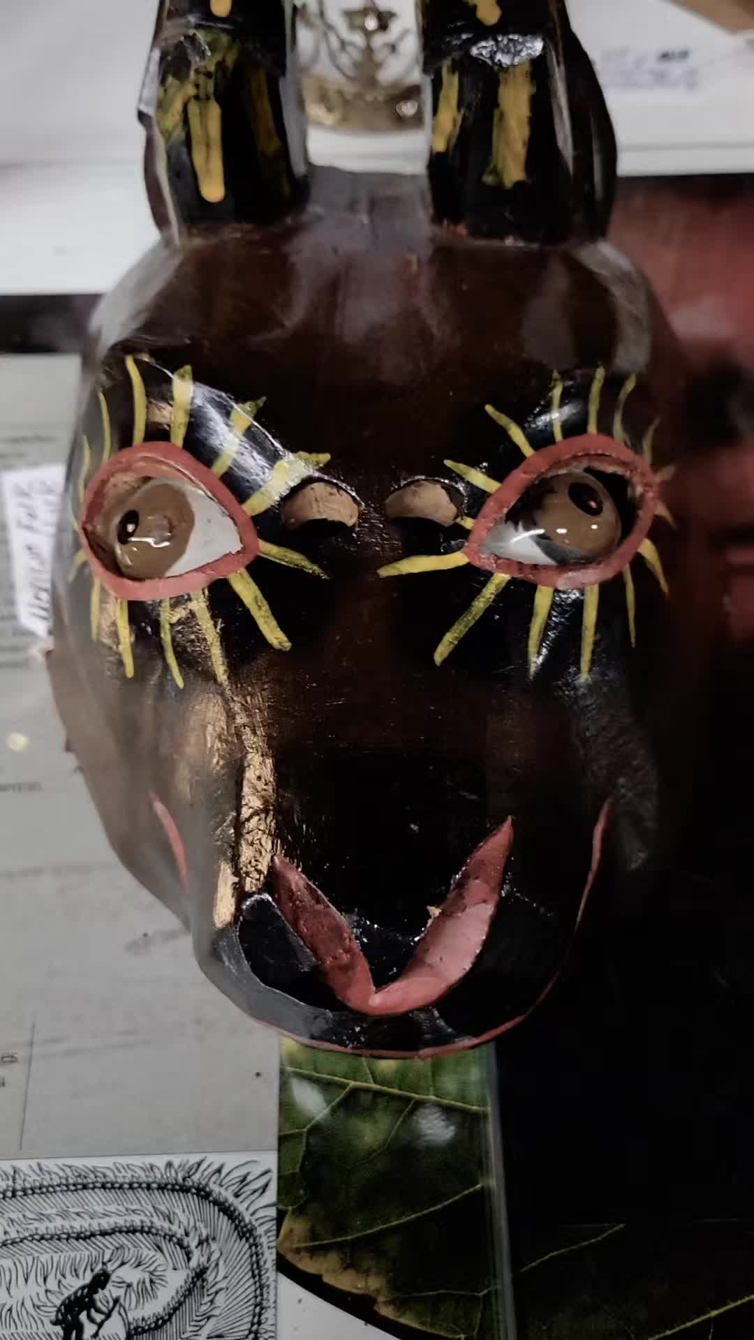 @blackorchidcuriosities