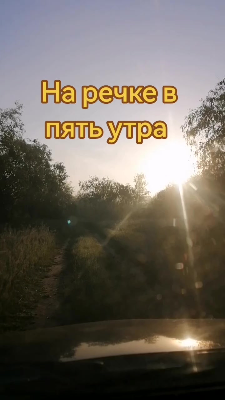 @seregabos