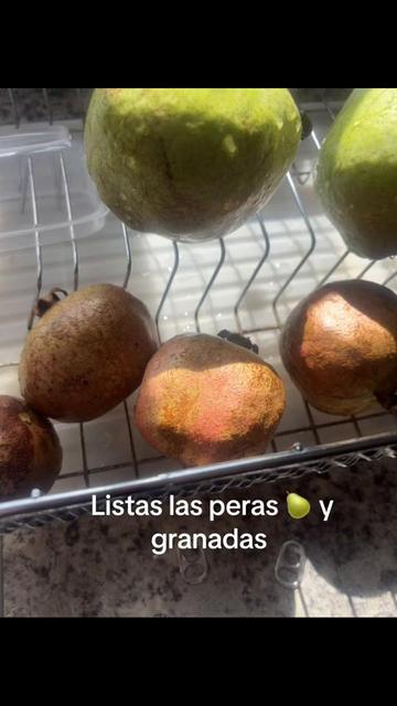 @LYNDAREBE