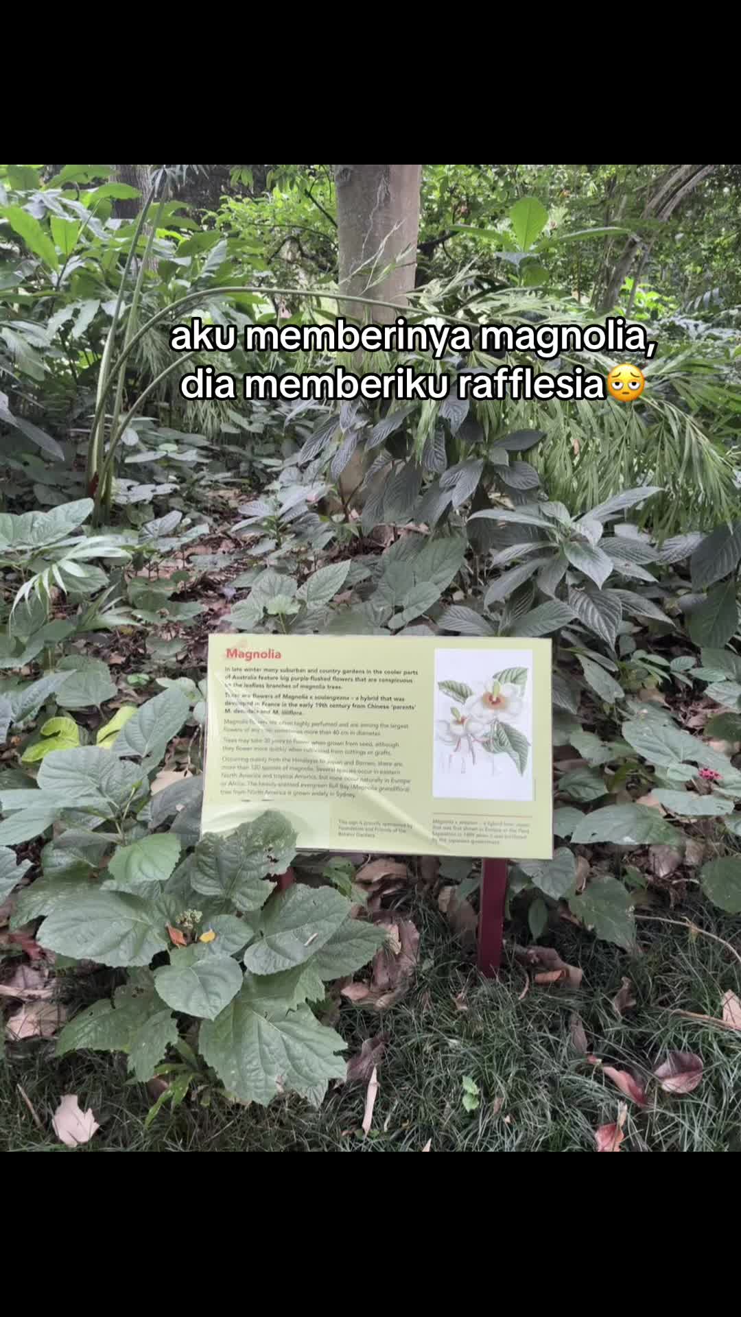 @thanpan