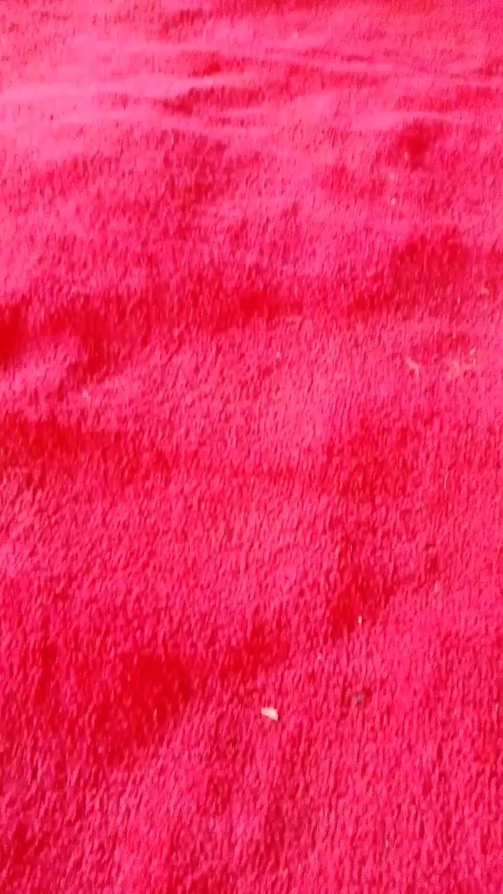 @whitneyterry6