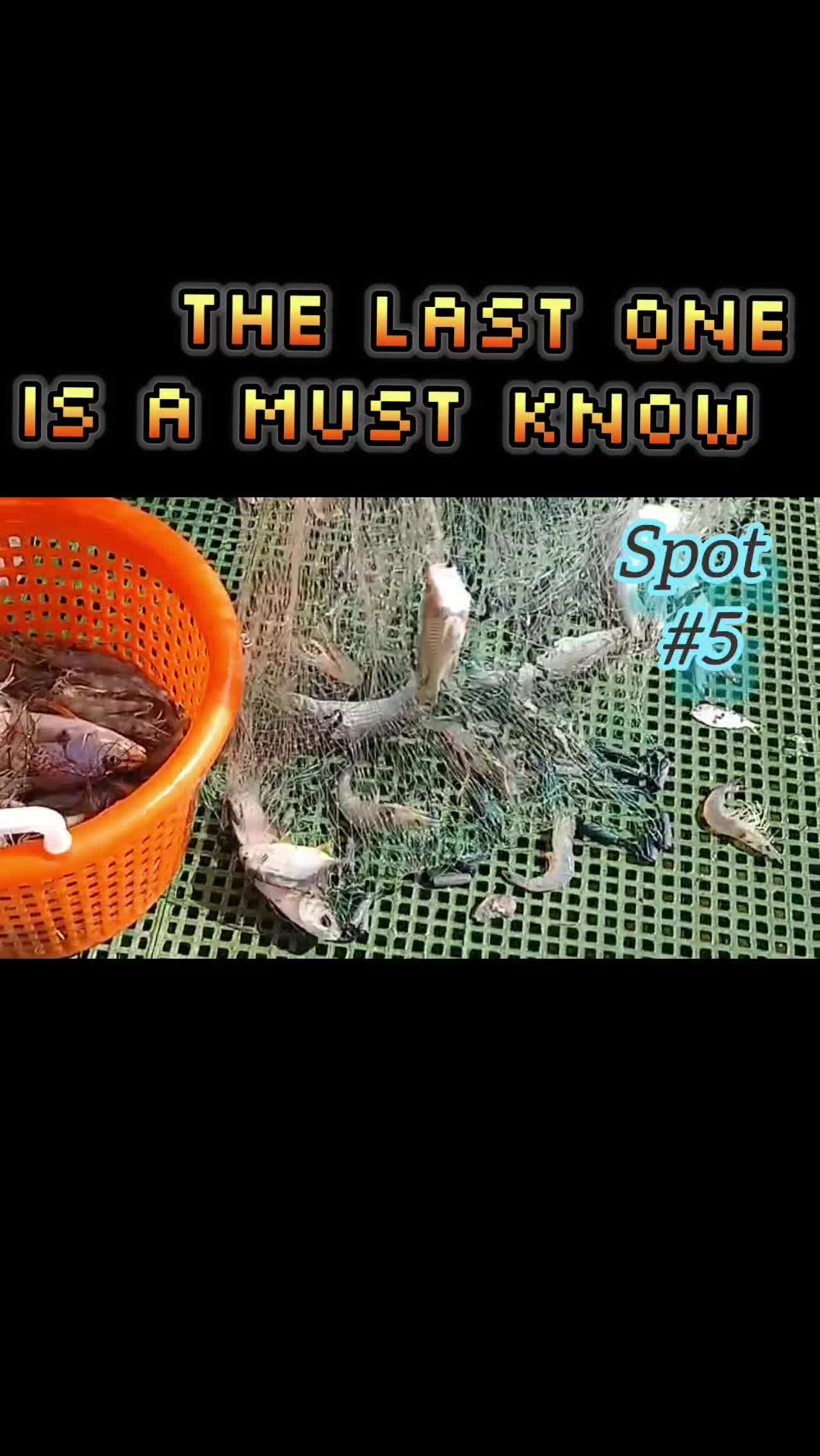 @SALTWATER SAB OUTDOORS