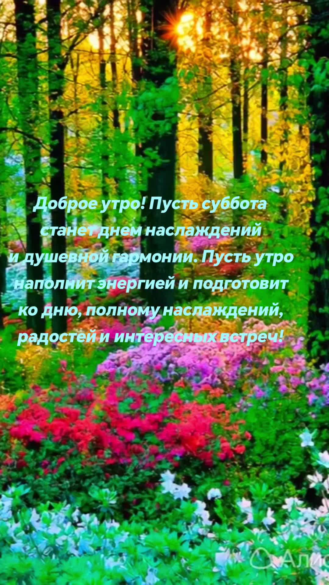 @nadezhdasvet1