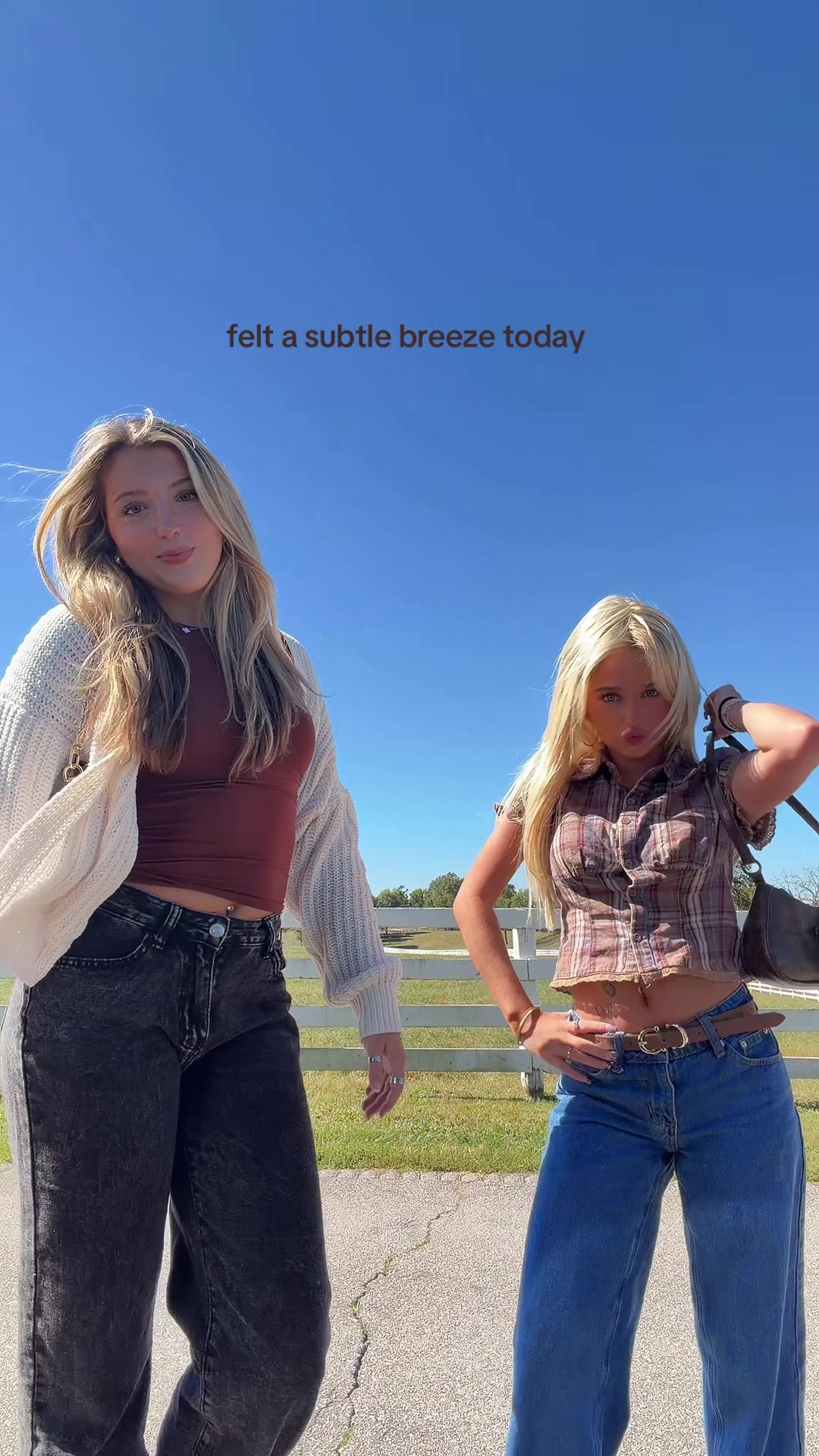 @lexi
