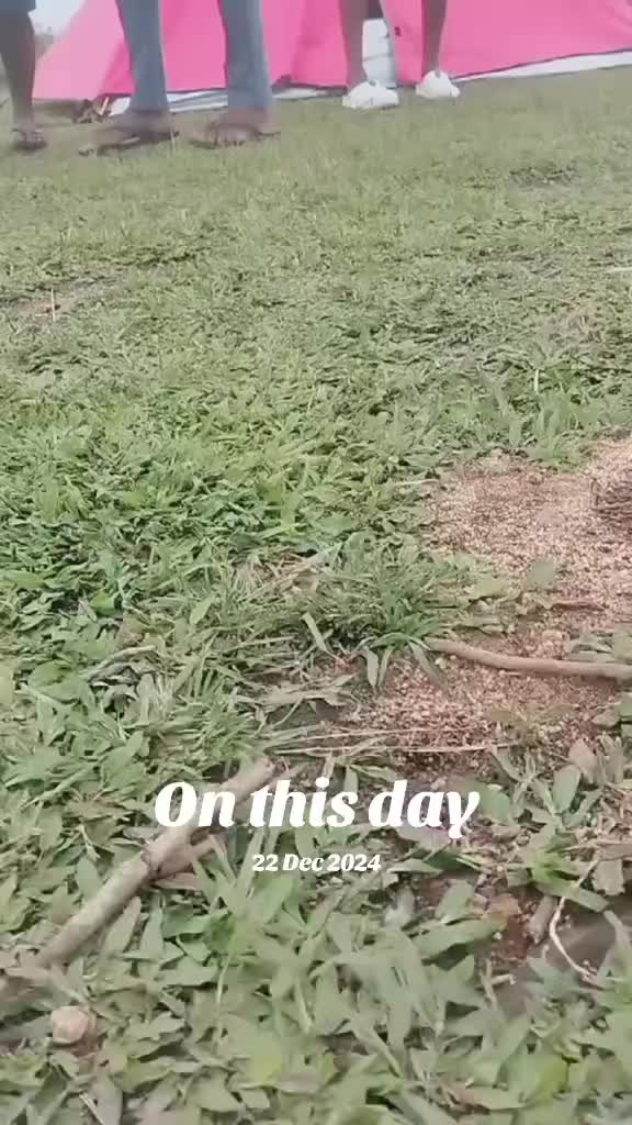 @Th&ucirc;w&atilde;&ntilde; Z&atilde;r&auml;