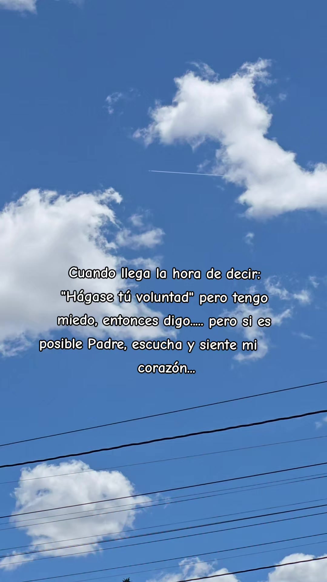 @🌸🦋Patricia🐼🦢