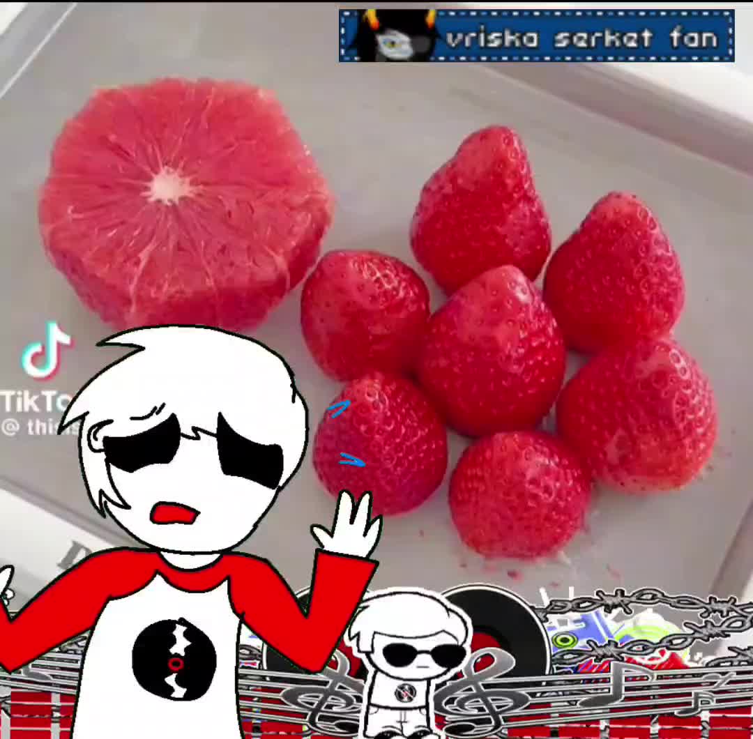 @n.1 vriska fan /vriskalover69